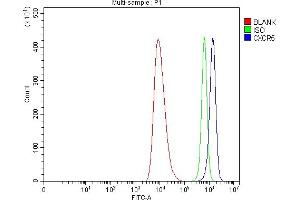 Flow Cytometry analysis of HEL cells using anti-CXCR5 antibody (ABIN7600362).