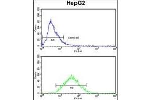 ZFP36 Antibody (Center) (ABIN652459 and ABIN2842311) flow cytometry analysis of HepG2 cells (bottom histogram) compared to a negative control (top histogram). (ZFP36 Antikörper  (AA 119-148))