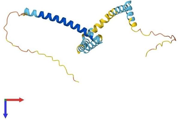 TPD52L2 Protein (AA 1-206) (His tag)