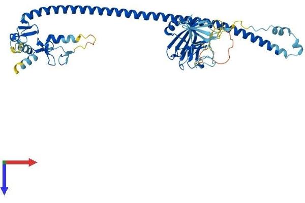 TRIM17 / RNF16 Protein (TRIM17) (AA 1-477) (His tag)