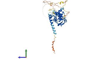 AlphaFold protein structure predicition of Mouse Recombinant Aen Protein, UniprotID Q9CZI9