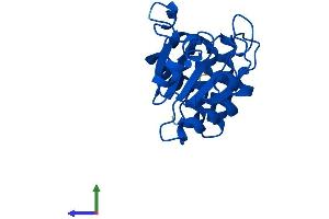 Protein Structure (PS) image for Dual Specificity Phosphatase 3 (DUSP3) (AA 1-185) protein (His tag) (ABIN7561101)
