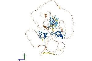 Protein Structure (PS) image for Dishevelled, Dsh Homolog 2 (Drosophila) (DVL2) (AA 1-736) protein (His tag) (ABIN7563881)