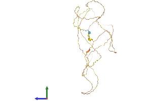 Protein Structure (PS) image for High Mobility Group Nucleosome Binding Domain 5 (HMGN5) (AA 1-406) protein (His tag) (ABIN7561665)