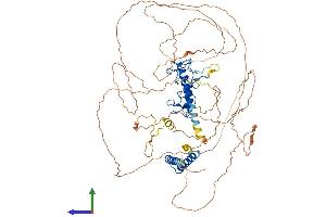 Protein Structure (PS) image for Lin-54 Homolog (LIN54) (AA 1-749) protein (His tag) (ABIN7554399)