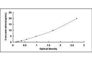 Coenzyme Q10 Homolog B (COQ10B) ELISA Kit