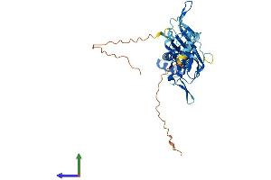 Protein Structure (PS) image for Potassium Inwardly-Rectifying Channel, Subfamily J, Member 11 (KCNJ11) (AA 1-390) protein (His tag) (ABIN7557733)