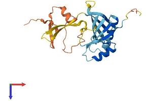 OAZ3 Protein (AA 1-235) (His tag)