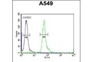 HEMK1 Antibody (C-term) (ABIN654963 and ABIN2844602) flow cytometric analysis of A549 cells (right histogram) compared to a negative control cell (left histogram). (HEMK1 Antikörper  (C-Term))