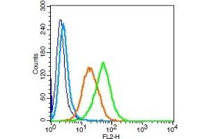 Human U937 cells probed with LAMP-1 Polyclonal Antibody, Unconjugated  (green) at 1:100 for 30 minutes followed by a PE conjugated secondary antibody compared to unstained cells (blue), secondary only (light blue), and isotype control (orange). (LAMP1 Antikörper  (AA 301-417))