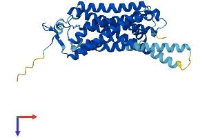Trace Amine Associated Receptor 8 (TAAR8) (AA 1-342) protein (His tag)