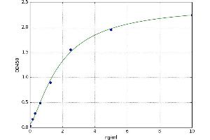 A typical standard curve (BANP ELISA Kit)