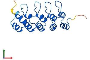 Protein Structure (PS) image for Cyclin-Dependent Kinase Inhibitor 2C (p18, Inhibits CDK4) (CDKN2C) (AA 1-168) protein (His tag) (ABIN7557609)