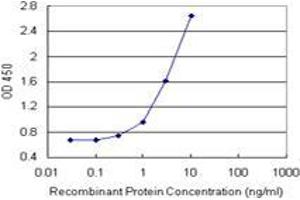 ANKRA2 (Human) Matched Antibody Pair