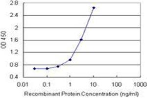 Sandwich ELISA detection sensitivity ranging from 1 ng/mL to 100 ng/mL. (ANKRA2 (Human) Matched Antibody Pair)