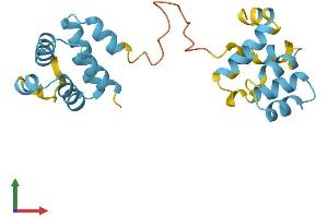 Protein Structure (PS) image for PYD and CARD Domain Containing (PYCARD) (AA 1-193) protein (His tag) (ABIN7565022)