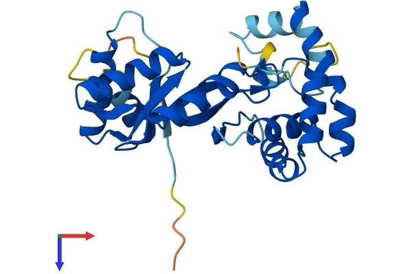 KCNAB3 Protein (AA 1-249) (His tag)
