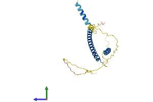 Protein Structure (PS) image for MAX Dimerization Protein 4 (MXD4) (AA 1-209) protein (His tag) (ABIN7557637)