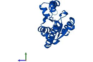 Protein Structure (PS) image for RNA Polymerase II TBP-Associated Factor Subunit G (TAF9) (AA 1-172) protein (His tag) (ABIN7548657)