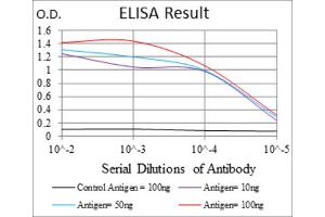 Red: Control Antigen (100ng) ; Purple: Antigen (10ng) ; Green: Antigen (50ng) ; Blue: Antigen (100ng). (COTL1 Antikörper)