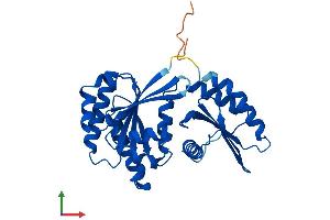 Protein Structure (PS) image for Ras-Related GTP Binding A (RRAGA) (AA 1-313) protein (His tag) (ABIN7558414)