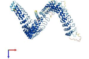 ANKRD44 Protein (AA 1-993) (His tag)