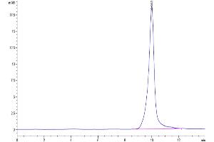 Size-exclusion chromatography-High Pressure Liquid Chromatography (SEC-HPLC) image for Myelin Oligodendrocyte Glycoprotein (MOG) (AA 30-154) protein (His tag) (ABIN7275275)
