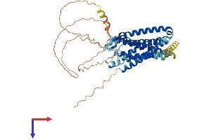 C3AR1 Protein (AA 1-477) (His tag)