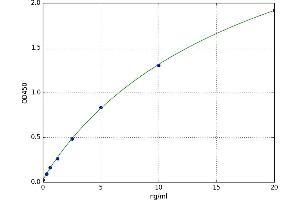 Progesterone Receptor (PGR) ELISA Kit