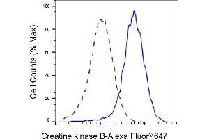 Validation of Creatine kinase B knockdown using flow cytometry. (Rekombinanter CKB Antikörper)