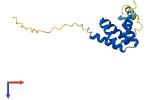 AlphaFold protein structure predicition of Human Recombinant C14orf119 Protein, UniprotID Q9NWQ9