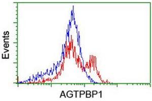 Flow Cytometry (FACS) image for anti-ATP/GTP Binding Protein 1 (AGTPBP1) (AA 368-753) antibody (ABIN1491459)