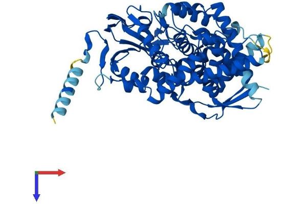 PTGIS Protein (AA 1-500) (His tag)