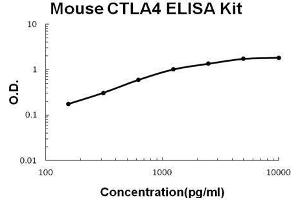 Mouse CTLA4 PicoKine ELISA Kit standard curve