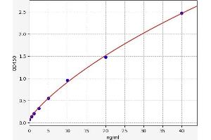 Typical standard curve (HMOX2 ELISA Kit)