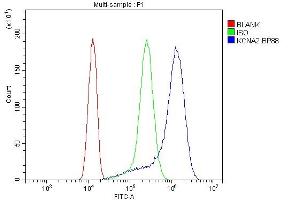 Flow Cytometry analysis of A431 cells using anti-Kv1.