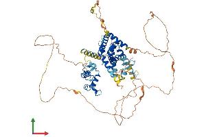 Protein Structure (PS) image for Nuclear Receptor Subfamily 1, Group D, Member 1 (NR1D1) (AA 1-614) protein (His tag) (ABIN7554804)