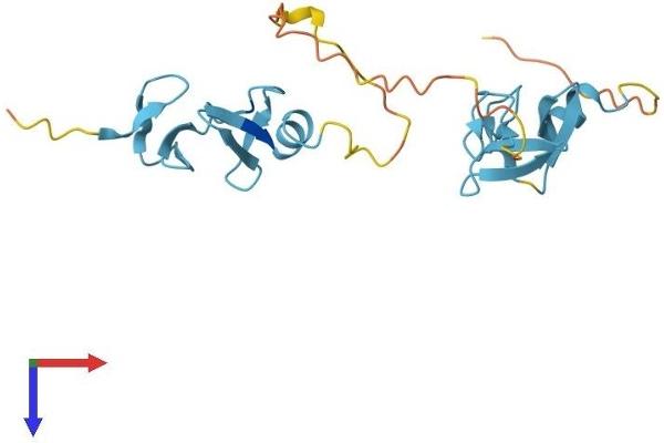 CSRP1 Protein (AA 1-193) (His tag)