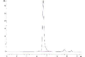 The purity of Human FGFR2 beta (IIIb) is greater than 95 % as determined by SEC-HPLC.