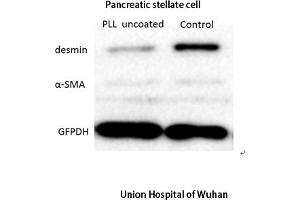 The picture was kindly provided by our customer.