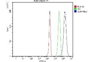 Flow Cytometry analysis of HepG2 cells using anti-Thyroxine Binding Globulin/SERPINA7 antibody (ABIN7602019). (SERPINA7 Antikörper  (AA 55-389))