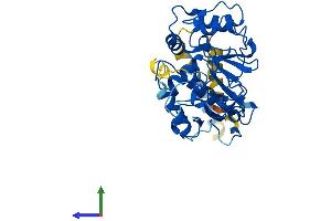 ST3GAL1 Protein (AA 1-337) (His tag)