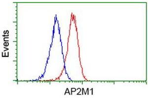 Flow cytometric Analysis of Jurkat cells, using anti-AP2M1 antibody (ABIN2454663), (Red), compared to a nonspecific negative control antibody, (Blue). (AP2M1 Antikörper  (AA 97-383))