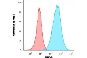 Flow Cytometric Analysis of A549 cells using S100A4 Recombinant Rabbit Monoclonal Antibody (S100A4/2750R) followed by goat anti-rabbit IgG-CF488 (Blue); Isotype Control (Red). (Rekombinanter s100a4 Antikörper  (AA 1-200))