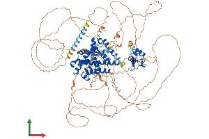 Protein Structure (PS) image for Nuclear Receptor Subfamily 3, Group C, Member 2 (NR3C2) (AA 1-984) protein (His tag) (ABIN7554528)