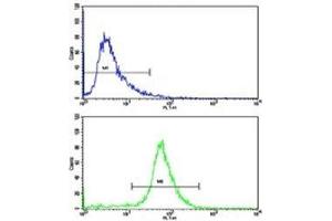 Flow Cytometry (FACS) image for anti-Cadherin 5 (CDH5) (AA 106-134) antibody (ABIN3030247)