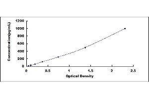 Typical standard curve (IL-17 ELISA Kit)