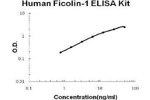 Human Ficolin-1 PicoKine ELISA Kit standard curve