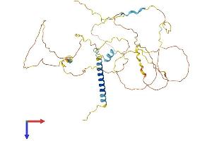 PAG1 Protein (AA 1-432) (His tag)