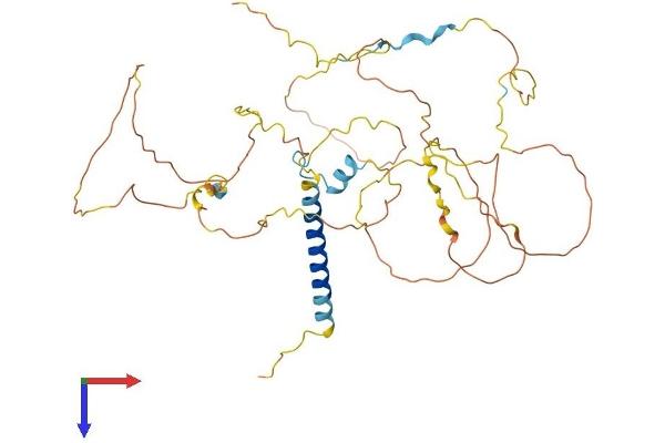 PAG1 Protein (AA 1-432) (His tag)